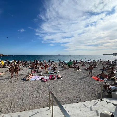 La Parenthese Cassidaine 3*